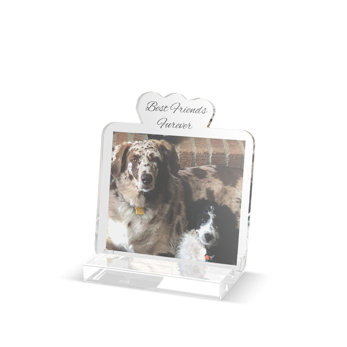 Custom Cut Standee — Personalized  4X6 acrylic